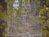 image of grave number 961063